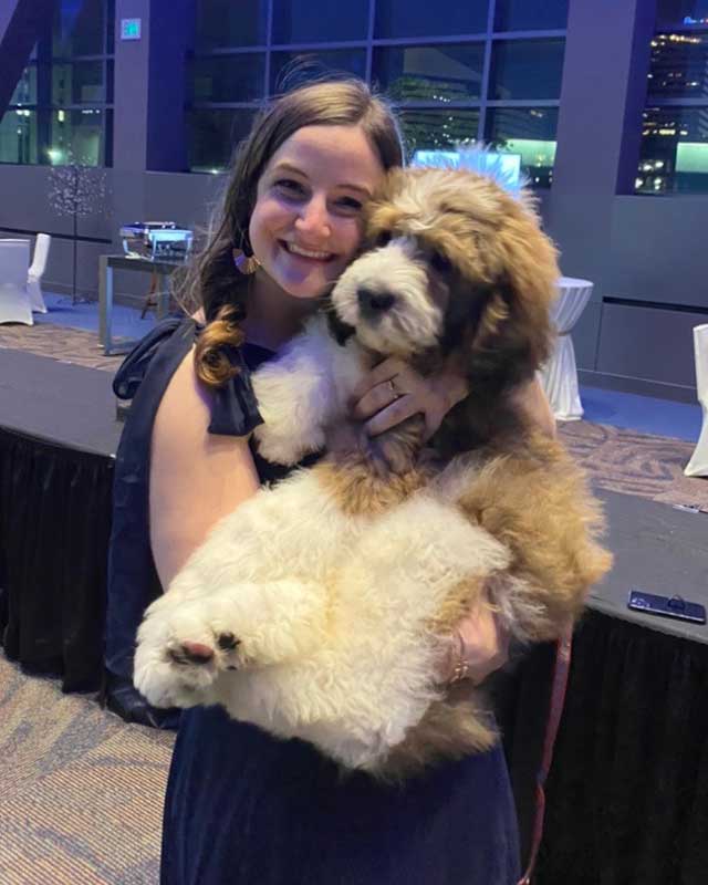 Saint Berdoodle Puppies in Ohio